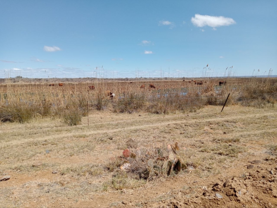 Commercial Property for Sale in Ganspan Northern Cape